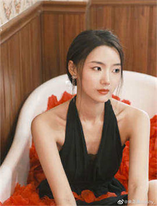 山炮进城2