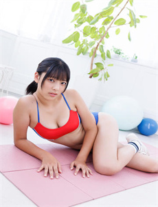 霍元甲李连杰