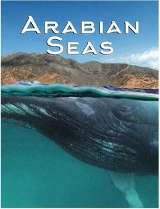 倚天屠龙记2019版