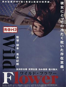 谢谢让我遇见你越南语版